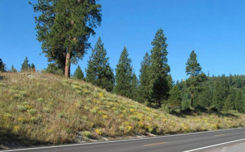 Chiloquin Highway preview 6